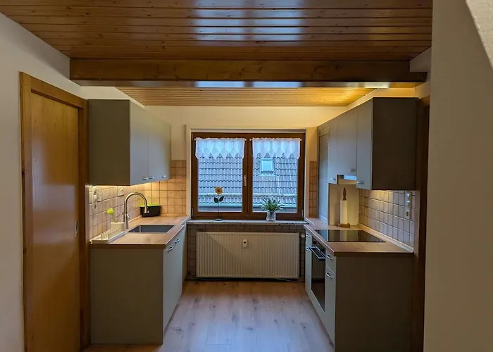 Am Wald In Ruhiger Siedlung Panoramafenster Zum Hoechsten Kunstwerk Der Welt 5 Min Zur Autobahn Oder Zentrum Apartment Chemnitz