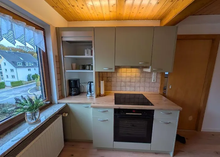 Am Wald In Ruhiger Siedlung Panoramafenster Zum Hoechsten Kunstwerk Der Welt 5 Min Zur Autobahn Oder Zentrum Apartamento Chemnitz